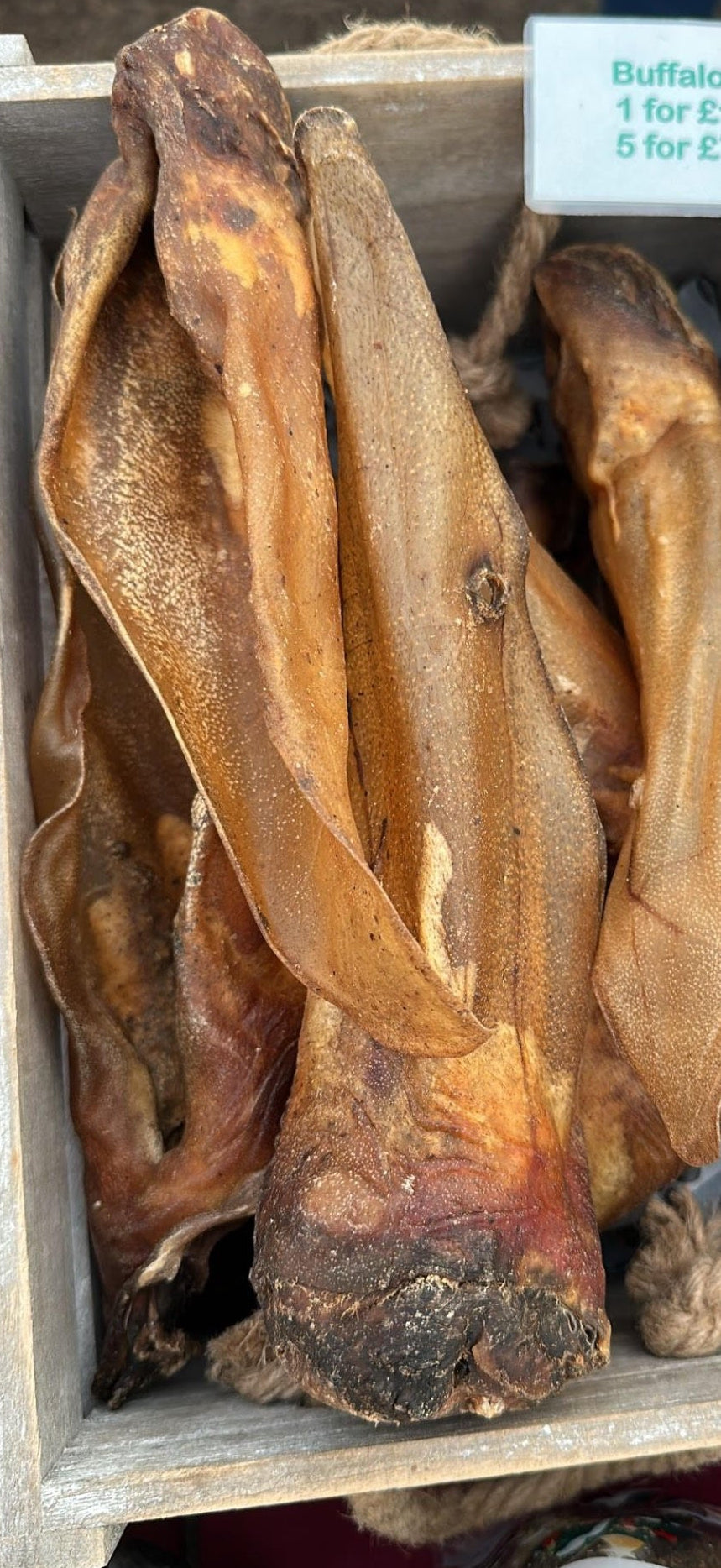 Hairless Buffalo Ear