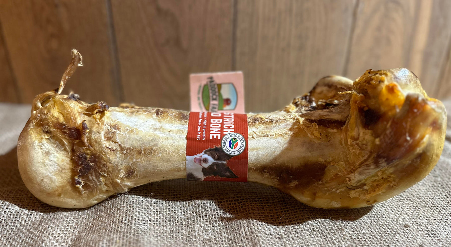 Ostrich Dino Bone OUT OF STOCK
