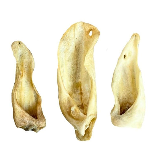 Goat Ear OUT OF STOCK