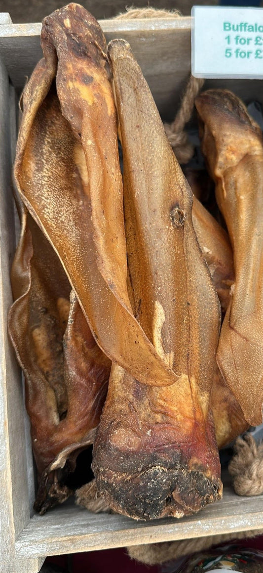 Hairless Buffalo Ear