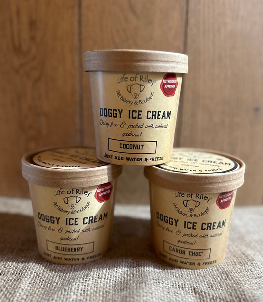 DIY Doggy Ice Cream Kit