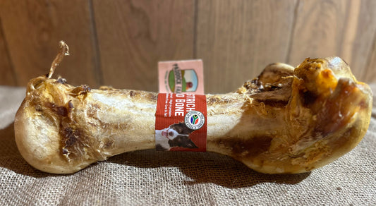 Ostrich Dino Bone