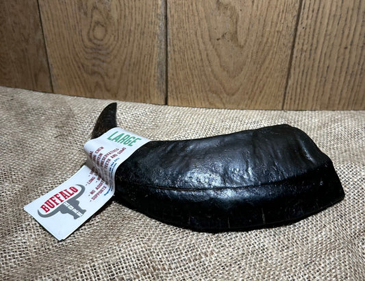 Large Buffalo Horn OUT OF STOCK